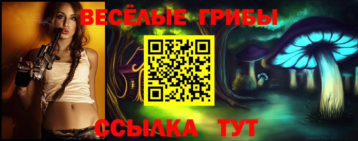 Сланцы  Псилоцибиновые грибы Magic Shrooms  Вход с VPN 